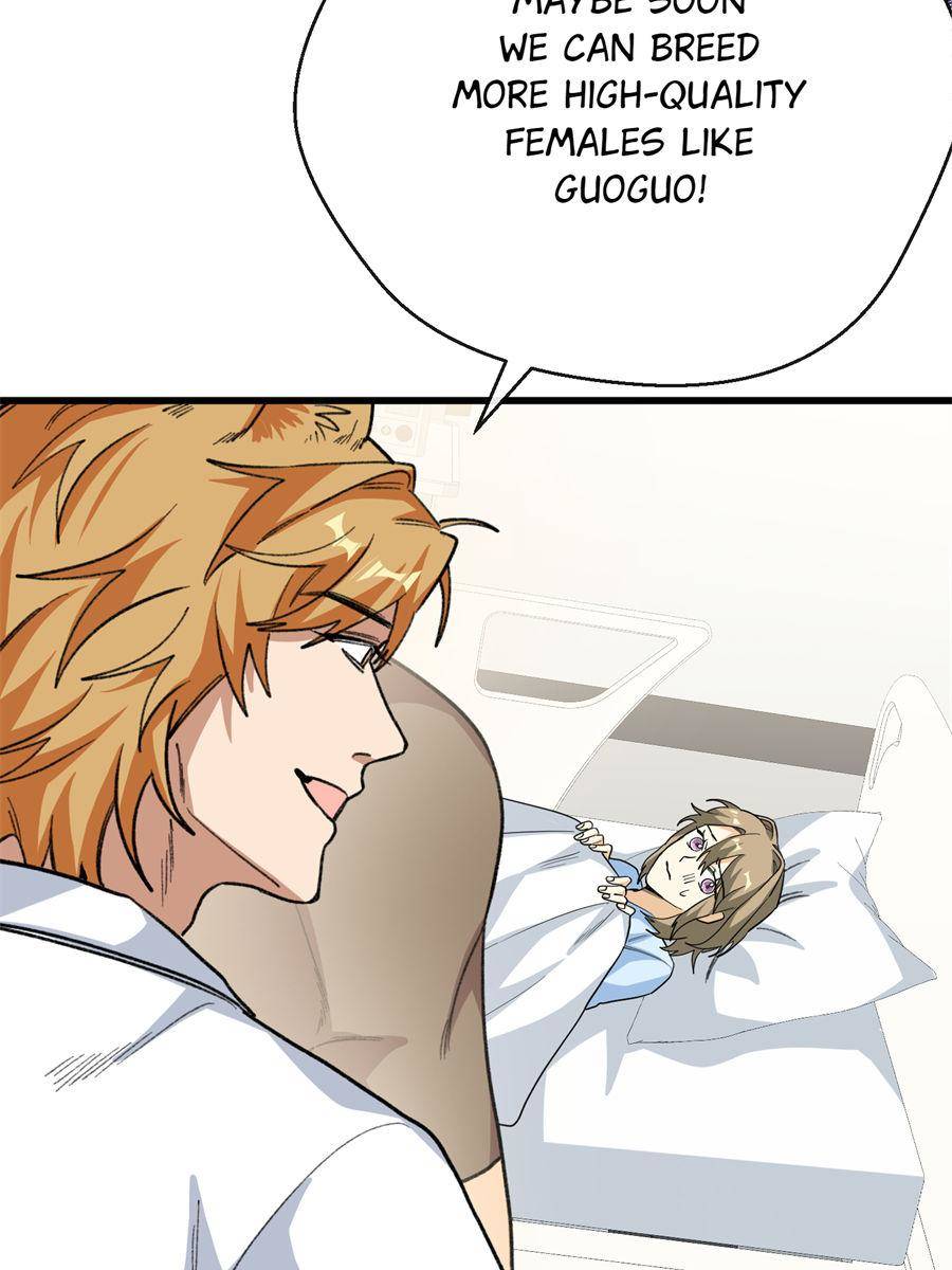 85741079 900 1200 100935